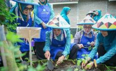 Permalink to Desa TAPIS Hadir di Tanggamus, PKK Provinsi Lampung Dorong Kesejahteraan dari Akar Desa