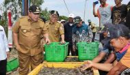 Permalink to Gubernur Arinal Dorong Pertambakan Udang di Lampung Bangkit dan Berjaya Kembali