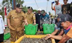 Permalink to Gubernur Arinal Dorong Pertambakan Udang di Lampung Bangkit dan Berjaya Kembali