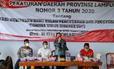 Anggota DPRD Lampung Ni Ketut Dewi Nadi Sosilisasi Perda AKB di Lampung Tengah