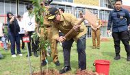 Permalink to Pj. Gubernur Samsudin Memulai Kick Off Penghijauan Serentak di Ruas Jalan Tol dan Komplek Perkantoran Kotabaru