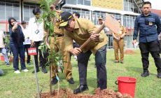 Permalink to Pj. Gubernur Samsudin Memulai Kick Off Penghijauan Serentak di Ruas Jalan Tol dan Komplek Perkantoran Kotabaru