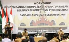 Permalink to Tingkatkan Kinerja Berbasis Kompetensi, Wagub Chusnunia Buka Workshop Pengembangan Kompetensi Aparatur