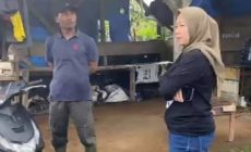 Permalink to Anggota DPRD Fraksi PDI-P Lampung Tinjau Petani Tomat Lambar