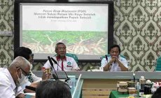Permalink to Pemprov Sosialisasi Kebijakan Tata Kelola Alokasi dan HET Pupuk Bersubsidi Sektor Pertanian