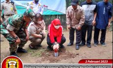 Permalink to Walikota Bandar Lampung Menghadiri GEMAPATAS 1 Juta Patok Serentak di Seluruh Wilayah Indonesia
