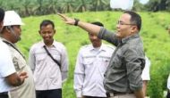 Permalink to DRA Berdayakan Petani Sawit Melalui Hilirisasi Energi Sawit