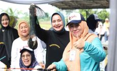 Permalink to TP PKK Provinsi Lampung Bekerja Sama dengan Pemprov Gelar Lomba Memancing dan Nyeruit Bareng