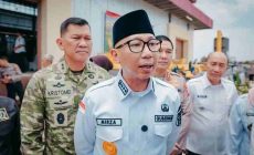 Permalink to Pemprov Lampung Dukung Swasembada Pangan 2025, Petani Lampung Mulai Migrasi ke Jagung