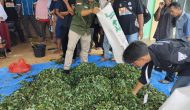 Permalink to Mahasiswa KKN Gelar Penyuluhan dan Pelatihan Peternakan di Desa Tri Karya Mulya