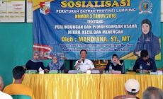 Permalink to Mardiana Gelar Sosperda Tentang Perlindungan Dan Pemberdayaan UMKM