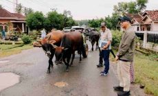 Permalink to Pemprov Lampung Tangani Kerusakan Infrastruktur dan Siapkan Perbaikan Permanen Ruas Jalan di Pesawaran