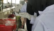 Permalink to PKM-K Unila Manfaatkan Daun Kelor jadi Hand Soap Antibakteri