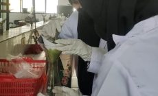 PKM-K Unila Manfaatkan Daun Kelor jadi Hand Soap Antibakteri