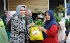Permalink to Bekerja Sama dengan DWP OPD Pemprov Lampung, Ibu Riana Sari Berikan Bantuan Program Siger kepada Warga