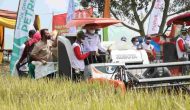 Permalink to Pemprov Lampung Panen Padi Seluas 110 hektar di Kabupaten Tulang Bawang