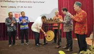 Permalink to Gubernur Arinal Membuka Seminar Ilmiah dan Kongres XXVII Perhimpunan Fitopatologi Indonesia