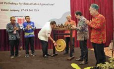 Permalink to Gubernur Arinal Membuka Seminar Ilmiah dan Kongres XXVII Perhimpunan Fitopatologi Indonesia