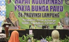 Permalink to Rakor Pokja Bunda PAUD 2024, Perkuat Peran Keluarga dalam Pendidikan Karakter Anak Usia Dini