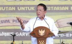 Permalink to Festival Wisata Hutan Lampung 2022, Arinal : Pengembangan Wisata Jangan Merusak Hutan