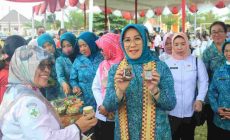 Permalink to TP PKK Provinsi Lampung, Melanjutkan Kunjungan Kerja di Tulangbawang