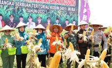 Permalink to PJ Bupati Muba dan Dandim 0401 Jalankan Intruksi Jokowi Tentang Komitmen Pemerintah untuk Meningkatkan Ketahanan Pangan Nasional Dalam Menghadapi Ancaman Krisis Pangan Global