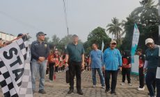 Permalink to Pjs Bupati Tanjung Jabung Barat Hadiri Jalan Santai Peringatan HKN ke-60