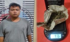 Permalink to Polres Tulang Bawang Tangkap Bandar Ganja di Sebuah Hotel BB 4,76 gram Daun Ganja Kering