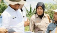 Permalink to Disdagperin Bersama Bappeda Muba Tinjau Lokasi Pembangunan Kawasan Industri Hijau Terpadu