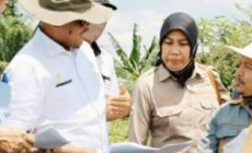 Permalink to Disdagperin Bersama Bappeda Muba Tinjau Lokasi Pembangunan Kawasan Industri Hijau Terpadu
