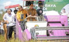 Permalink to Gubernur Mirza Ikuti Panen Raya Padi Serentak di 14 Provinsi secara Nasional oleh Presiden Prabowo