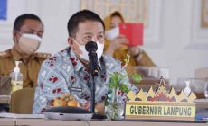 Permalink to Gubernur Arinal Hadiri Puncak Peringatan Harganas Ke-28
