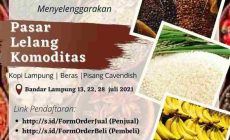 Permalink to Disperindag Provinsi Lampung Akan Menggelar Pasar Lelang Komoditi Bagi Pelaku Usaha Pertanian dan Perkebunan