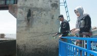 Permalink to Bupati Tanjung Jabung Barat Gelar Mancing Bersama dalam Perayaan HUT RI dan Kabupaten