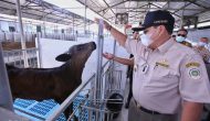 Permalink to Buka Peluang Ekspor Peternakan, Gubernur Arinal Dukung Ekspor Daging Sapi Wagyu dari PT. AustAsia Stockfeed