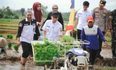 Permalink to Pemprov Lampung Gaspol Musim Tanam Kedua, Targetkan 3,5 Juta Ton Padi di 2025!