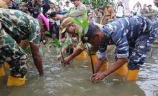 Permalink to Pj Gubernur Lampung Tanam Mangrove Bersama Brigif 4 Marinir dan Mitra dalam Peringatan HUT ke-79 Korps Marinir
