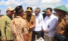Petani Lampung Sambut Gembira Panen Raya, Pemerintah Pastikan Harga Gabah Menguntungkan
