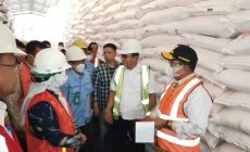 Permalink to Penjabat Gubernur Lampung Tinjau Ketersediaan Pupuk untuk Jamin Produktivitas Pertanian