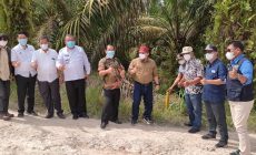 Permalink to Pembebasan Lahan Pembangunan Tol Mulai Diukur