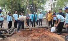 Permalink to BPPW Lampung dan Unila Adakan Aksi Penanaman Pohon