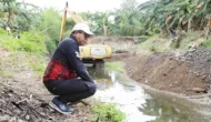 Permalink to 1.000 Biopori dan Penanaman Pohon Ditarget Pemkot Guna Cegah Banjir