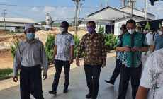 Permalink to Harga Singkong Terjun Bebas, Anggota DPRD Lampung Dapil 8 Datangi Pabrik Singkong