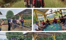 Permalink to Ketua Komisi V DPRD Lampung bersama ketua DPRD Tinjau Hutan Mangrove