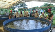 Permalink to Unila dan Brigif 4 Marinir/BS Kembangkan Ketahanan Pangan