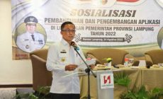Permalink to Pemprov. Lampung Sosialisasikan Pembangunan dan Pengembangan Aplikasi