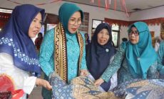 Permalink to TP PKK Provinsi Lampung Kunjungan Kerja ke Kabupaten Pesisir Barat