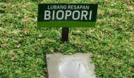 Permalink to Cegah Banjir, Pemkot Bandar Lampung Siapkan 1.000 Biopori