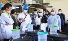 Permalink to Gubernur Cukupi Kebutuhan Pupuk 190.851 Petani Lampung