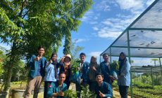 Mahasiswa KKN Unila Periode II/2023 Tanam 3500 Bibit di Kecamatan Rumbia